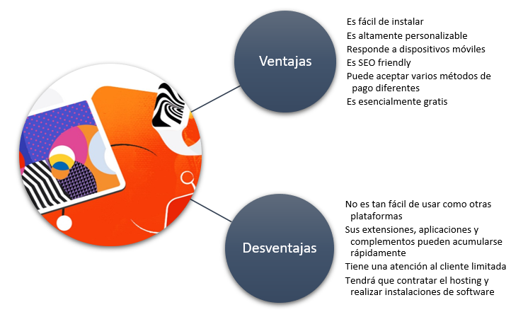 Plataforma de comercio electrónico Magento I Amvos Digital Amvos Digital